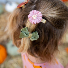 Load image into Gallery viewer, Pumpkin Clip Set