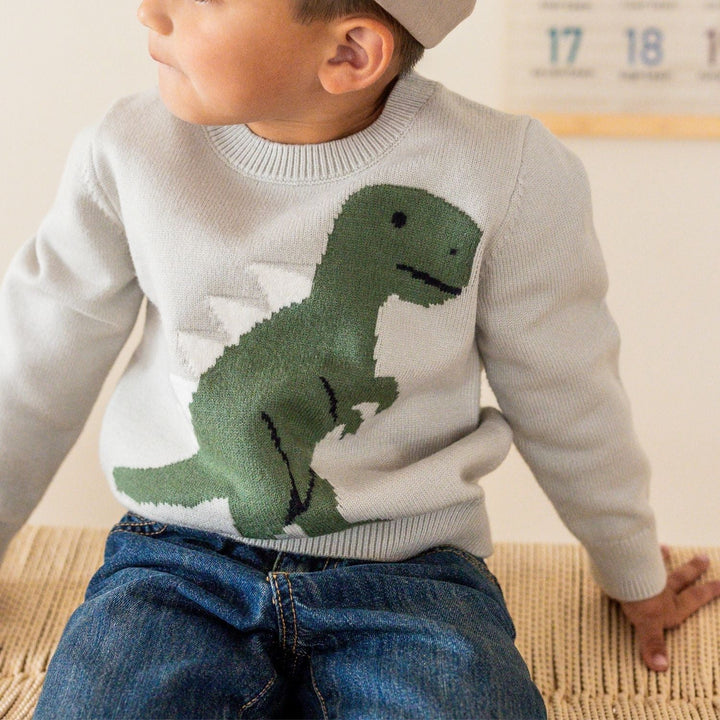 Dinosaur Sweater