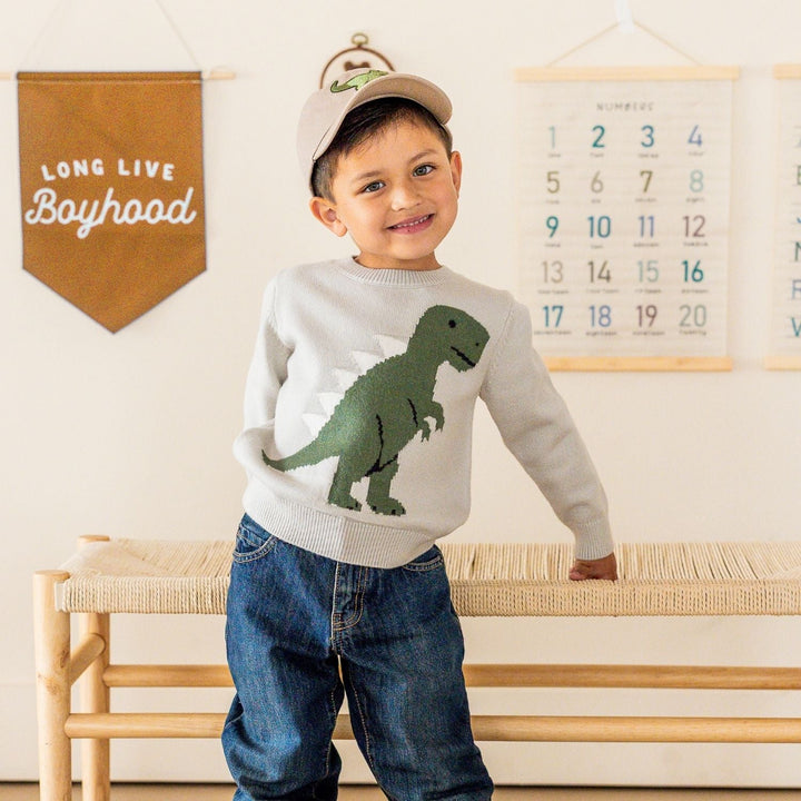 Dinosaur Sweater