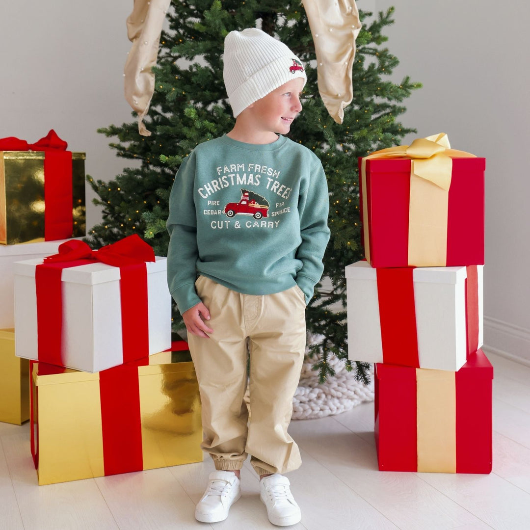 Christmas Truck Patch Beanie