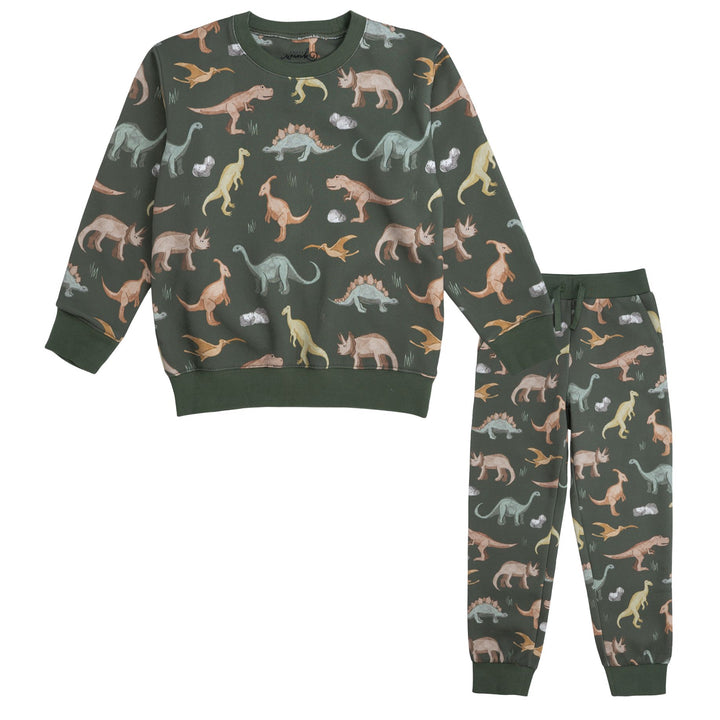 Dinosaurs Rock Sweatshirt & Jogger Set